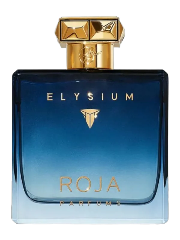 Elysium Pour Homme – Roja Parfums – 100mL – Eau de Parfum – Testeur