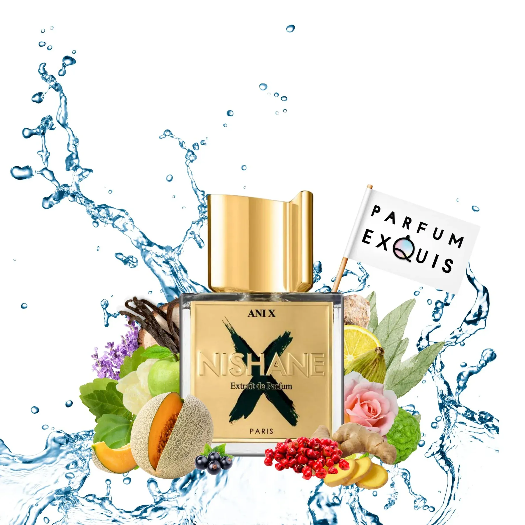 Ani X – Nishane – 100mL – Extrait de Parfum